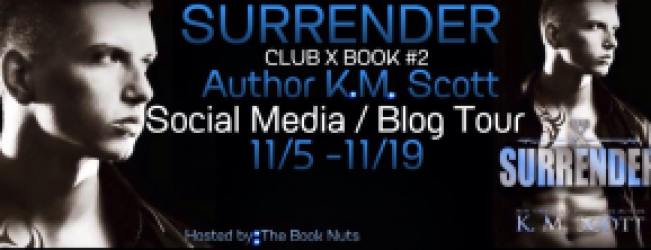 blog tour banner km surrender